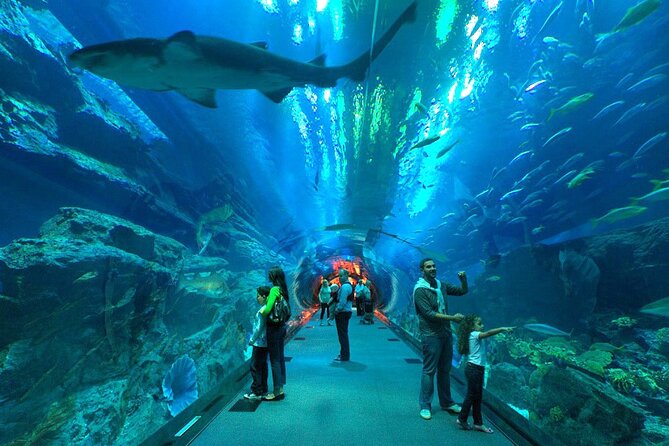Dubai Aquarium & Underwater Zoo with Penguin Cove - Dubai Mall’s aquarium tunnel: big views in a small time window
