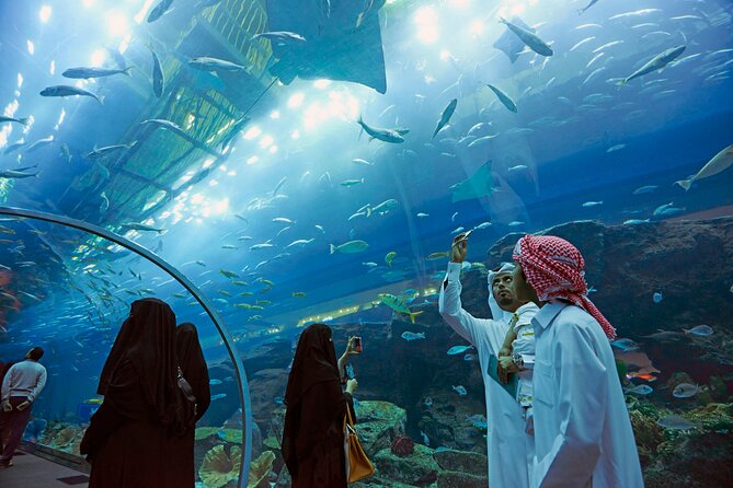 Dubai Aquarium & Underwater Zoo with Penguin Cove - Penguin Cove: a calmer stop that breaks up the intensity