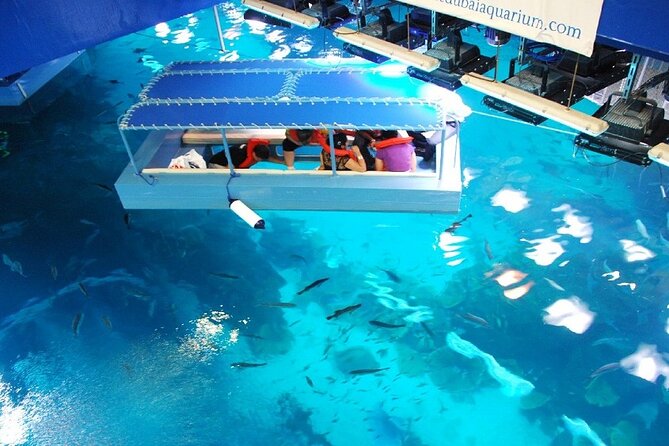 Dubai Aquarium & Underwater Zoo with Penguin Cove - The glass-bottom boat ride: the best use of your time