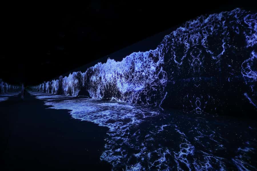 Dubai: Arte Immersive Museum Entry Ticket - Life of UAE: culture and desert scenery, staged in digital form