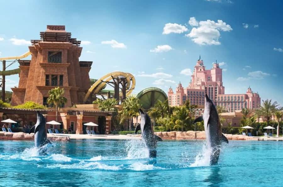 Dubai: Atlantis Dolphin Kayak Trip & Aquaventure Waterpark - Key highlights at a glance