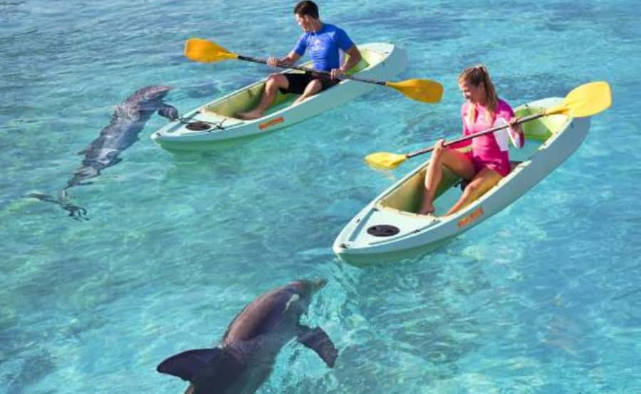 Dubai: Atlantis Dolphin Kayak Trip & Aquaventure Waterpark - Your Atlantis Dolphin Kayak and Aquaventure day: the real value