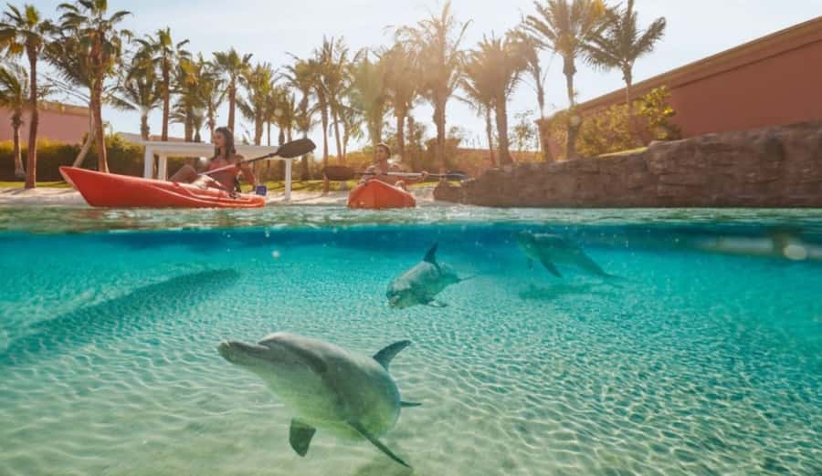 Dubai: Atlantis Dolphin Kayak Trip & Aquaventure Waterpark - The safety orientation with a marine mammal specialist