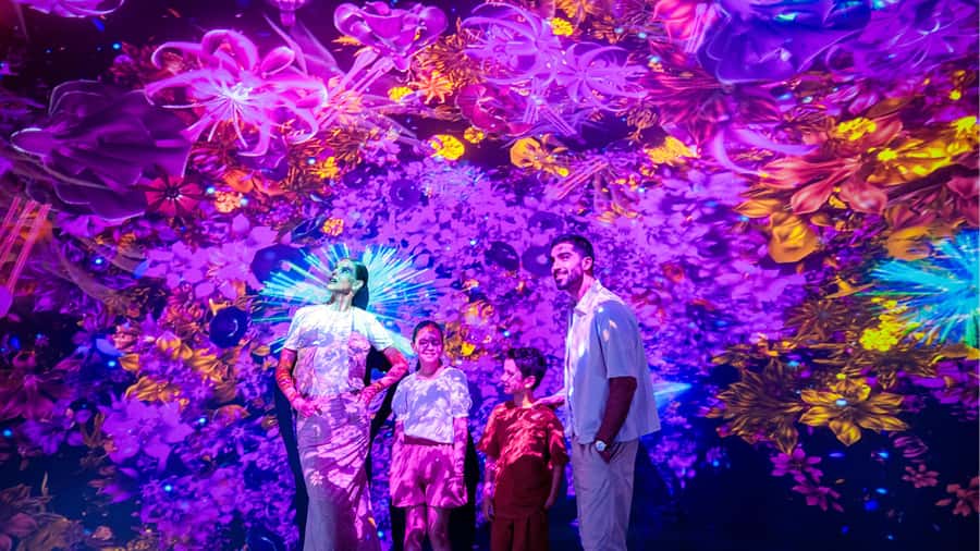 Dubai: AYA Universe Entry Ticket - The Star Pool Ball Pit: Rules, Safety, and Why It’s the Finale