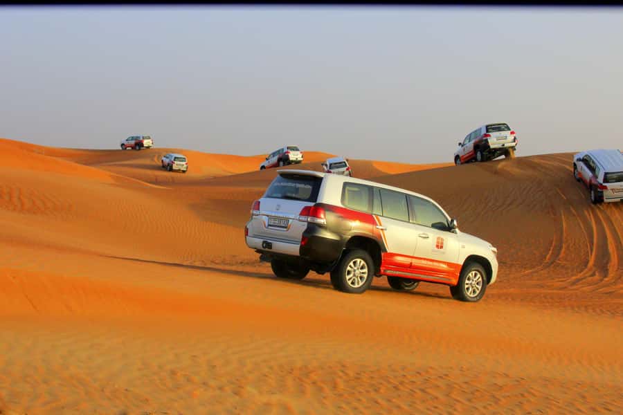 Dubai: Bedouin Camp, Dune Safari, Falcon Show & BBQ Dinner - Sunset on Red Sand Dunes: The Photo Moment and the Reality Check