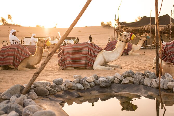 Dubai: Bedouin Culture Safari - Pickup, Headscarf, and the Little Desert Gifts That Set the Tone