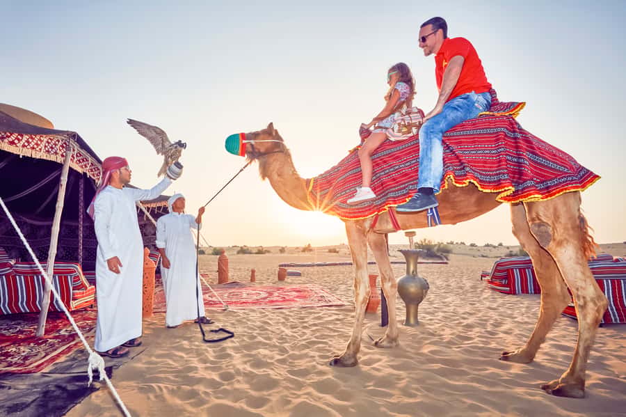 Dubai: Big Bus Hop-On Hop-Off Tour & Optional Dhow Cruise - Lost World Aquarium and The Dubai Frame: the longer-ticket logic