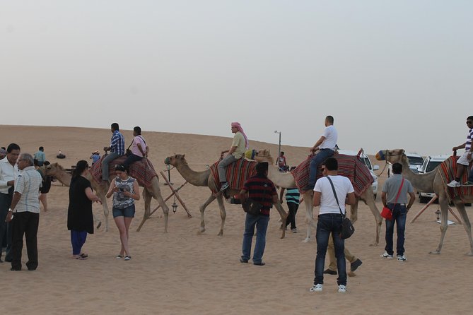 Dubai: Buggy Dune Bashing, Sand Boarding, Camel Ride & Show - Who Should Book This Desert Safari, and Who Might Skip It