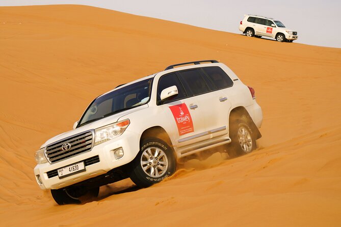 Dubai Buggy Tour in red sands and Desert Safari - Who Should Book This Buggy Tour (And Who Should Skip It)