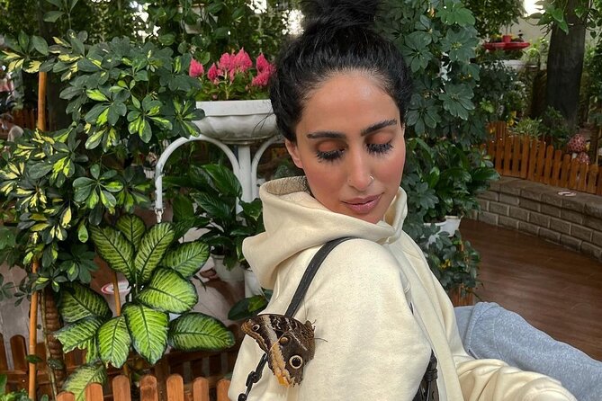 Dubai Butterfly Garden Entry Ticket - Key highlights you’ll remember
