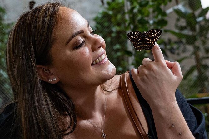 Dubai Butterfly Garden Entry Ticket - Dubai Butterfly Garden next to Miracle Garden: your easiest nature break in Dubai