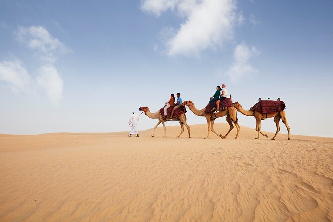 Dubai: Camel Caravan, Bedouin Breakfast with Al Marmoom Oasis - First reserve stop: the desert viewing moment before the camels