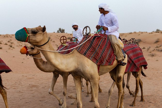 Dubai Camel Desert Safari, Traditional Meal & Heritage Activities - Falconry at sunset, then a torch-lit Bedouin camp night