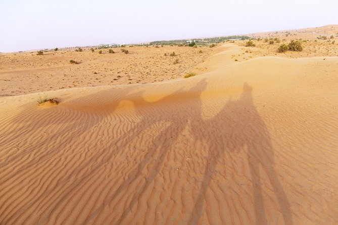 Dubai Camel Desert Safari, Traditional Meal & Heritage Activities - Camel caravan ride across the dunes, 2-per-camel format