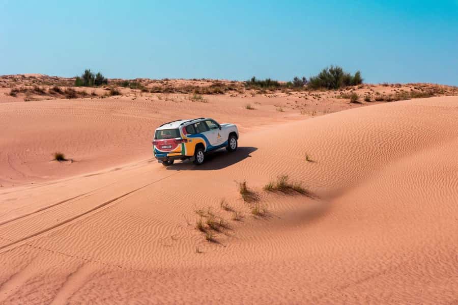 Dubai: Camel Safari, Wildlife & Lakeside Breakfast - The conservation-focused desert stop and wildlife spotting