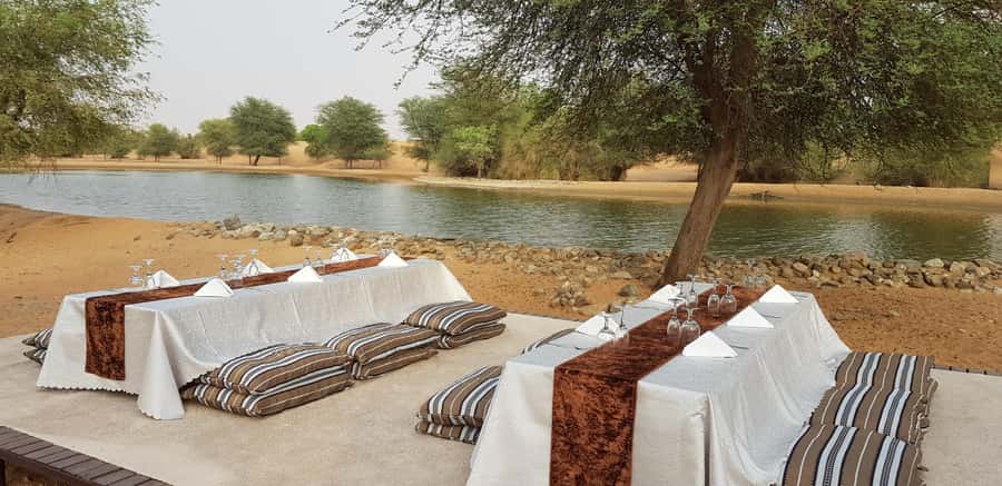 Dubai: Camel Safari, Wildlife & Lakeside Breakfast - Camel ride time: what you do, how long it lasts, and what to watch
