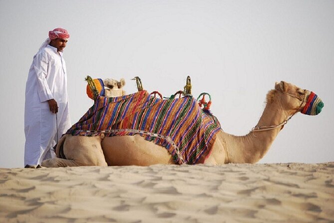 Dubai City Tour and Evening Desert Safari Combo - Stargazing with a telescope: the desert night payoff