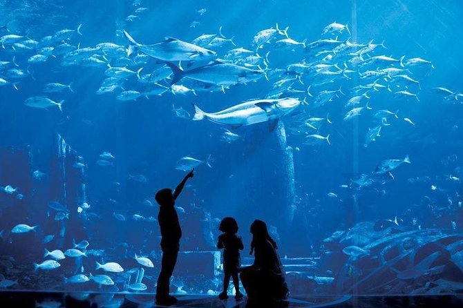 Dubai City Tour : Half Day - Jumeirah Mosque and Jumeirah Public Beach: a calm break from the city rush