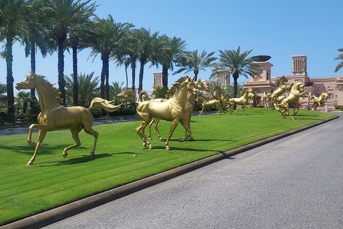 Dubai City Tour (Old & New) Desert Safari, BBQ, Camel Ride, Shows - Live Shows Under the Stars: Tanoura, Belly Dance, and Fire