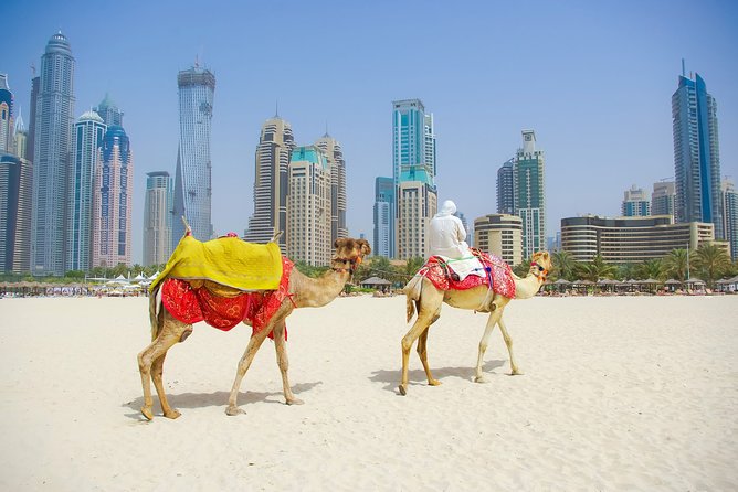 Dubai City Tour with Burj Khalifa at the top entry - Souk Madinat Jumeirah and Jumeirah Al Qasr: Marketplace Energy Without the Big Rush