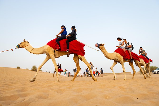 Dubai Combo:City Tour and Premium Desert Safari with all Activities - Key highlights before you go