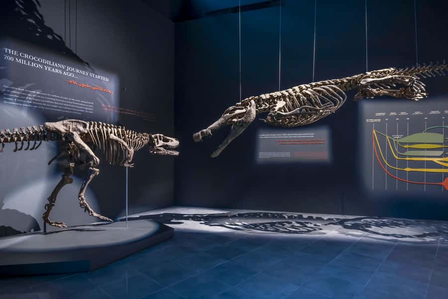 Dubai Crocodile Park Ticket - Key highlights worth planning around