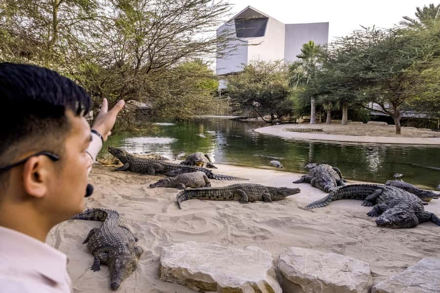 Dubai Crocodile Park Ticket - The Natural History Museum: evolution without the boring parts
