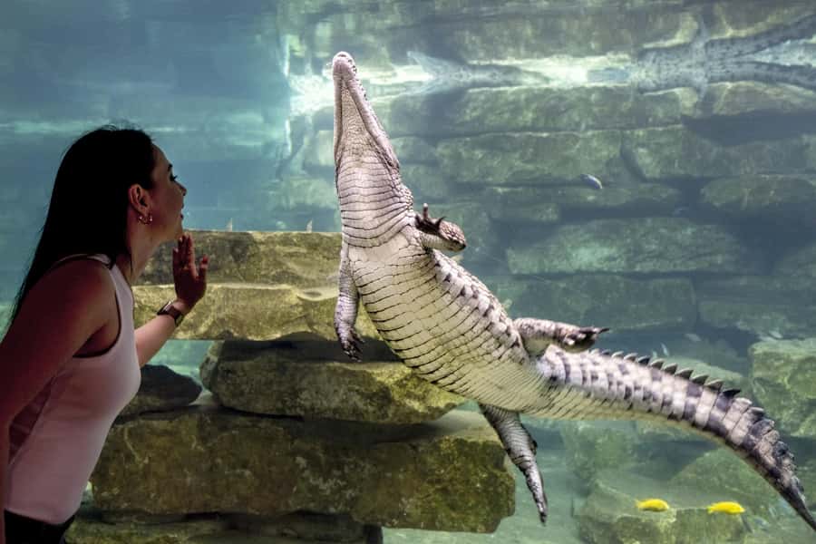 Dubai Crocodile Park Ticket - Timing tips: when to look for feeding activity