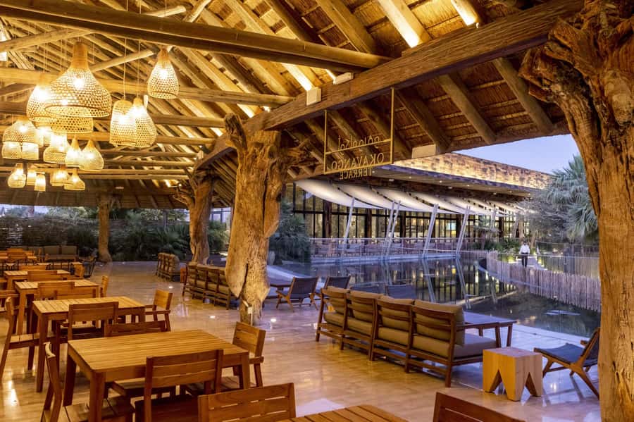 Dubai Crocodile Park Ticket - Price and value: why $17 can feel fair here