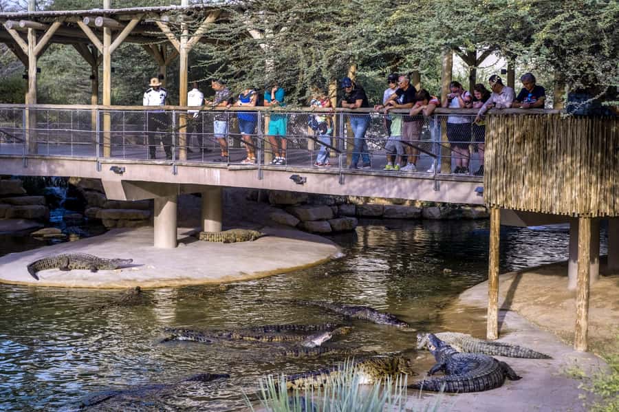 Dubai Crocodile Park Ticket - Who should book this Dubai Crocodile Park ticket