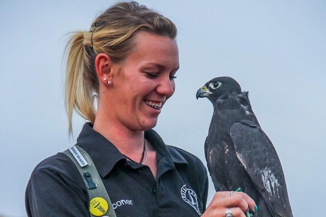 Dubai Desert 4x4 Dune Bashing, Sandboarding, Camel Riding, Dinner - The Falcon Show, Bedouin Customs, and Why It Matters