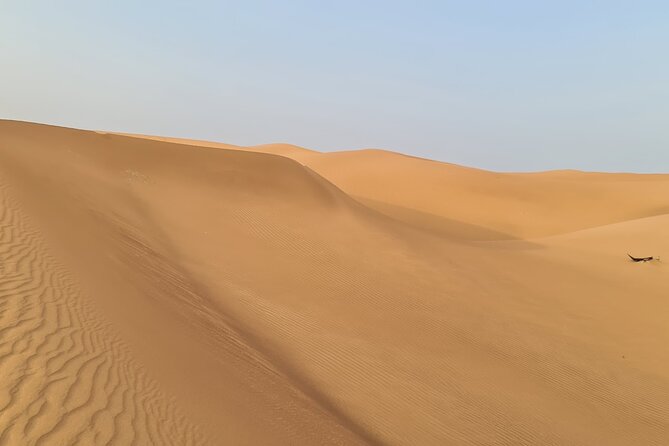 Dubai Desert 4x4 Dune Bashing, Self-Ride 30min ATV Quad, Camel Ride,Shows,Dinner - Sandboarding and Camel Time: Fun, but Go With the Flow
