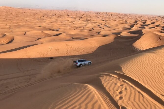 Dubai Desert 4x4 Safari with Camp activities & BBQ Dinner - Who should book this desert safari, and who should pass