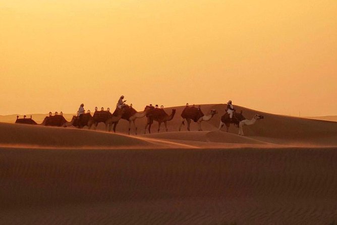 Dubai Desert 4x4 Safari with Camp activities & BBQ Dinner - Pickup and the real meaning of a 6 hour tour