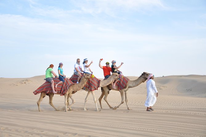 Dubai Desert Adventure Half-Day Tour - What This Morning Desert Tour Really Is