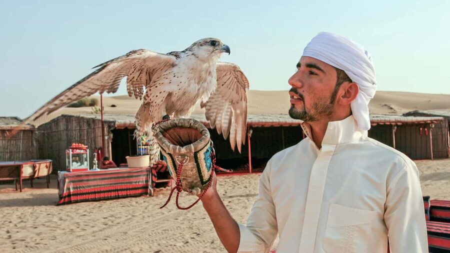Dubai Desert Adventure: Red Dunes Guided Quad/Polaris & BBQ - Price and value at about $82 per person