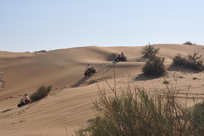 Dubai Desert Afternoon Quad Safari with Camel Ride, BBQ Dinner and Belly Dancing - Quick hits: what this Dubai quad safari gets right