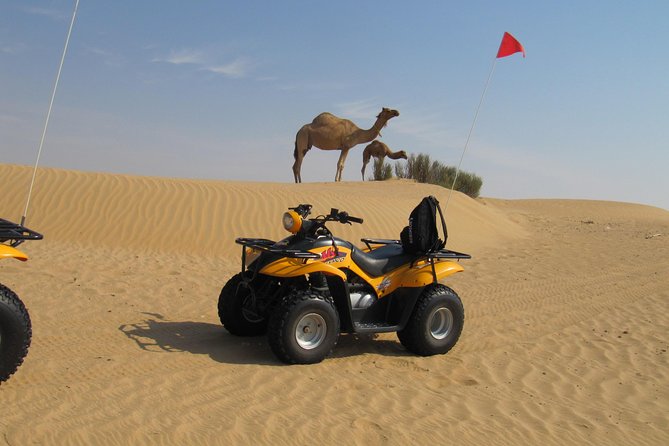 Dubai Desert Afternoon Quad Safari with Camel Ride, BBQ Dinner and Belly Dancing - BBQ dinner setup: what you actually eat and when
