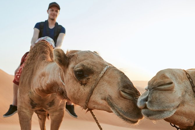 Dubai Desert Bespoke: Red Dunes Safari, Camel Ride & BBQ Options - Why Lahbab Red Dunes Works Even If You’re Short on Time