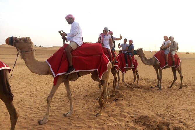 Dubai: Desert Camel Ride with Live Shows & BBQ Buffet Dinner - Who this Dubai desert camel ride works best for