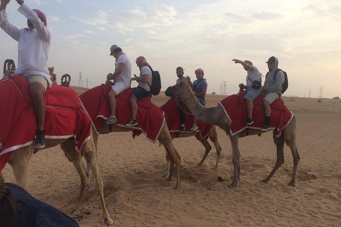 Dubai: Desert Camel Ride with Live Shows & BBQ Buffet Dinner - Practical things to bring, plus a few last-minute reality checks