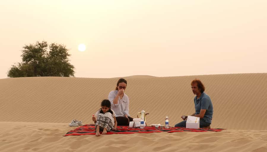 Dubai Desert Morning Drive with Wildlife Experience - The wildlife stops: what you should expect from the Oryx feeding station