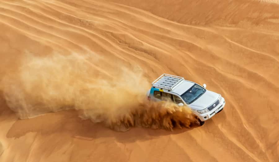 Dubai Desert Morning Drive with Wildlife Experience - Small group size: when 5 people feels right