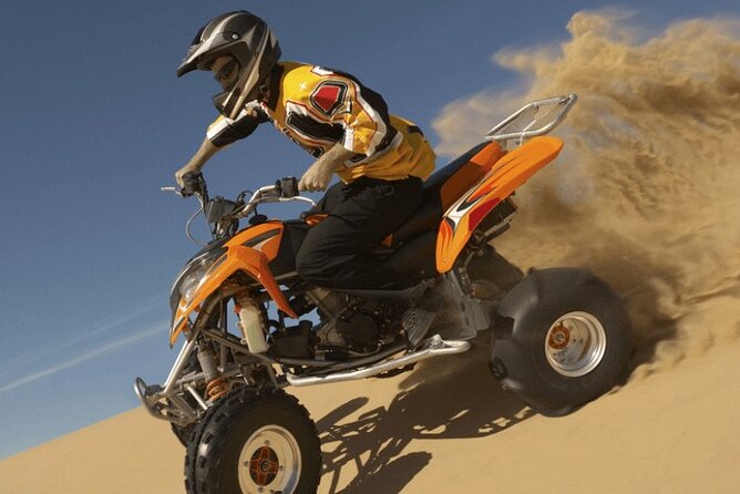 Dubai Desert Safari: 4x4 Dune Bashing, Camel Ride & BBQ Dinner - Falconry Display and Holding a Falcon: A Real Cultural Hit