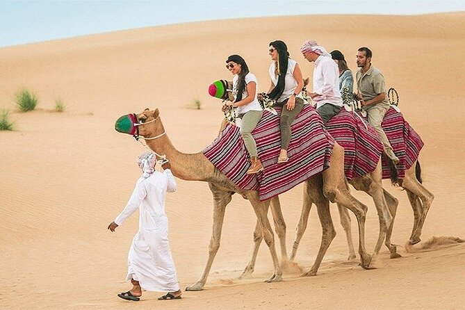 Dubai Desert Safari Adventure, 60mins ATV, Camel Ride, Shows, BBQ - BBQ buffet dinner plus live shows on two dancing floors
