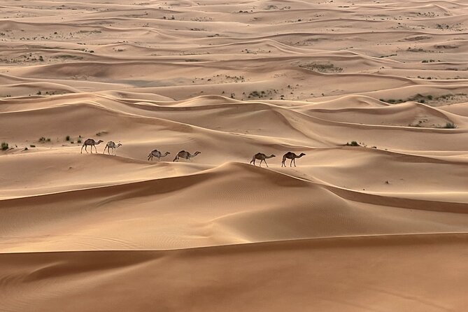 Dubai Desert Safari, Camel, Live BBQ & Shows (Private 4x4 Car) - Key Things You Should Know Before You Go