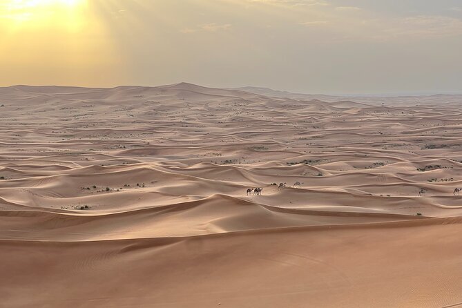 Dubai Desert Safari, Camel, Live BBQ & Shows (Private 4x4 Car) - Sandboarding and the Mid-Desert Photo Stop