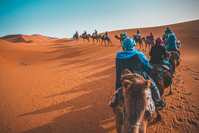 Dubai Desert Safari Camel Ride Sand Boarding BBQ Dinner - How the 6.5-Hour Desert Safari Fits Together