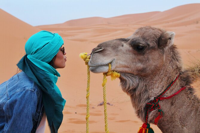 Dubai Desert Safari Camel Ride Sand Boarding BBQ Dinner - Live Desert Shows: Belly Dance, Tanoura, and Fire Performance