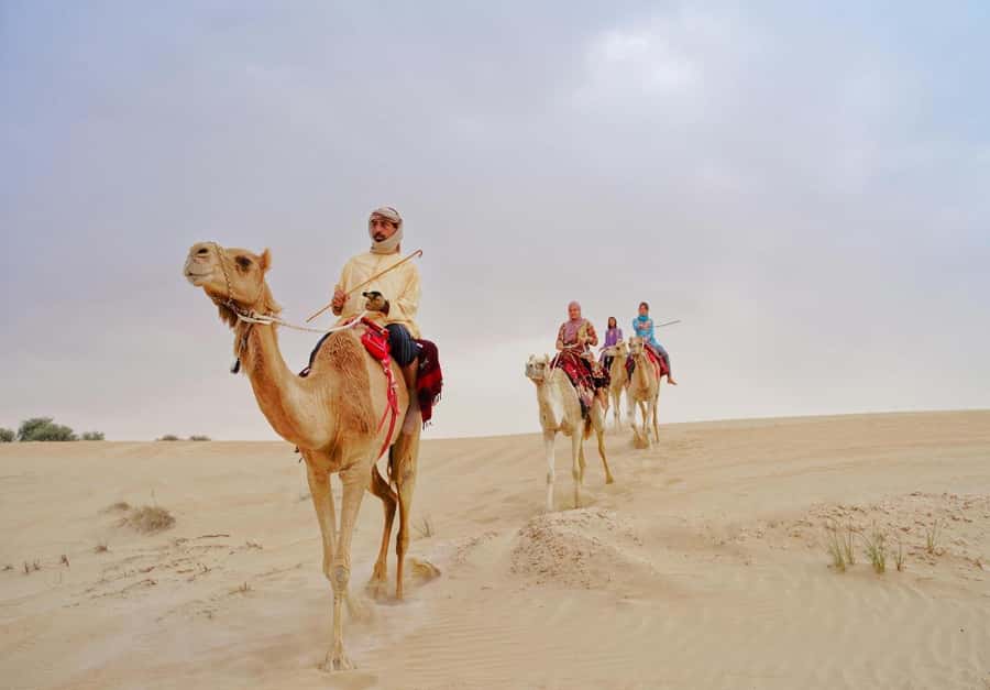 Dubai: Desert Safari, Camel Ride, Sandboard & Buffet Dinner - A 7-hour Dubai desert day with dune bashing, camel, sandboarding, and shows
